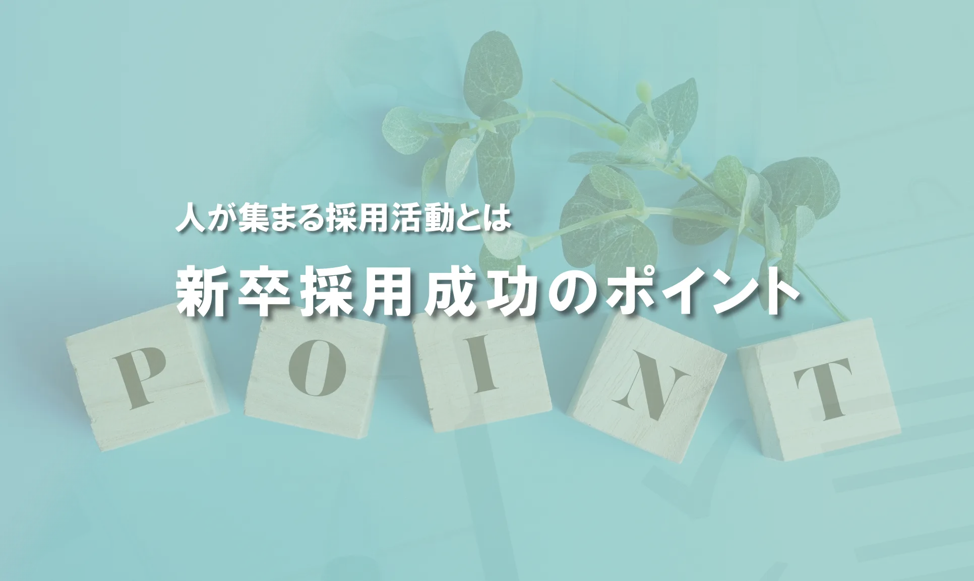 ご案内